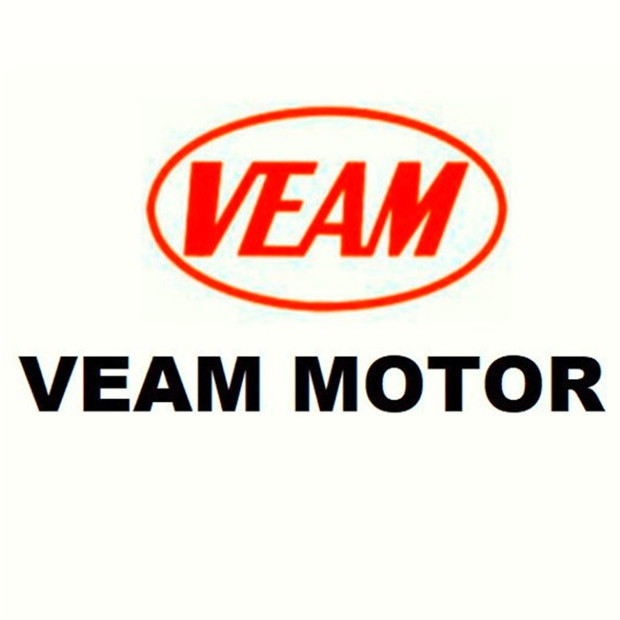 VEAM MOTOR