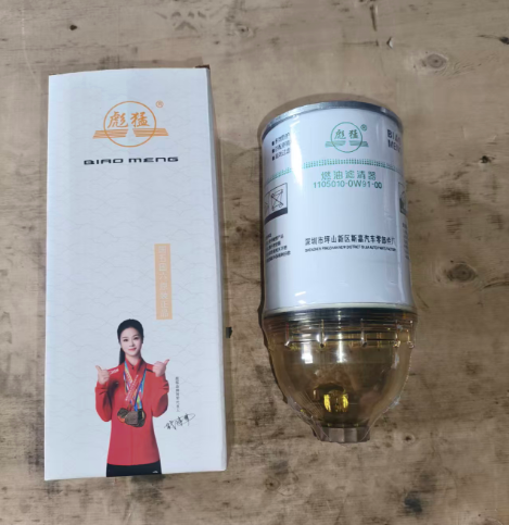 LỌC NHIÊN LIỆU  1105010-0W91-00 TERACO PLUSS