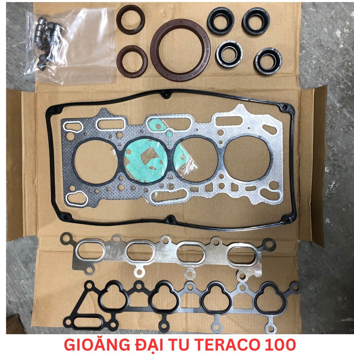 GIOĂNG ĐẠI TU TERACO T100