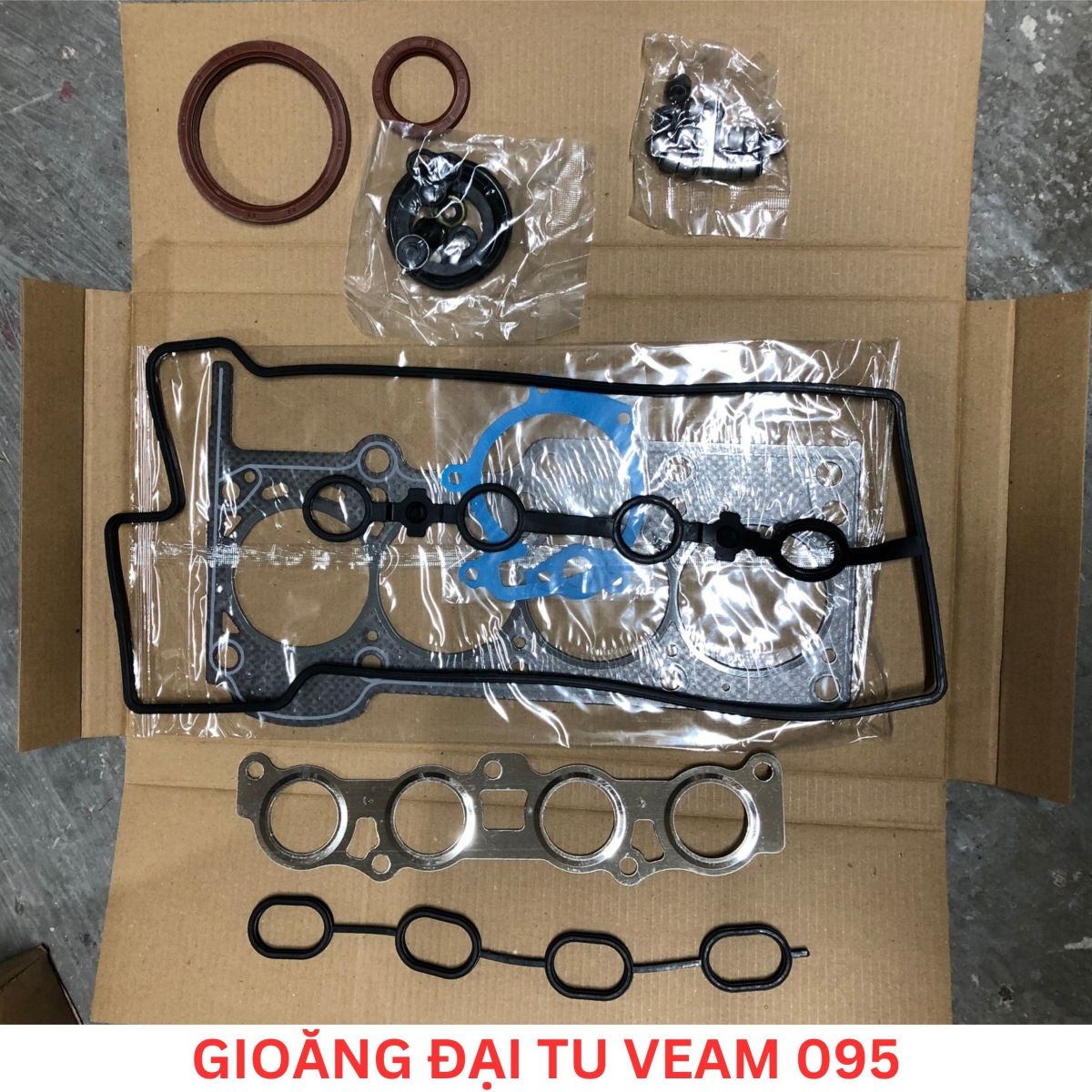 GIOĂNG ĐẠI TU VEAM VPT095